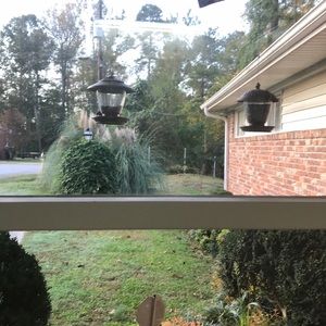 Meet your Posher, Frank